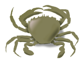 addon_the_crab
